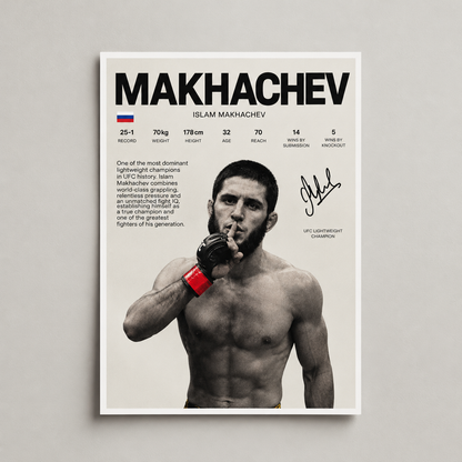 Póster artístico de luchadores de MMA